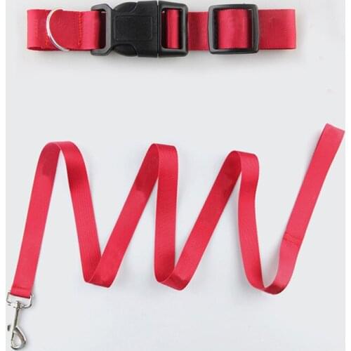 PAWSMOMENT Leashes For Dogs