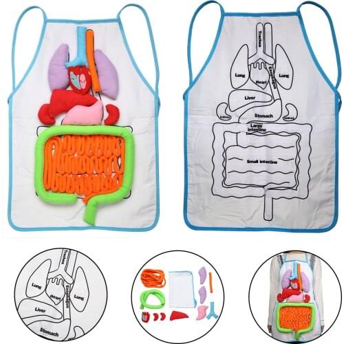 Anatomy Apron Human Body Organs Awareness Educational Insights Apron Toys Preschool Home Teaching Aids For Children Kids