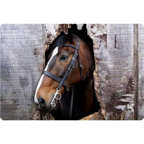 HUGSIDEA 3D Welcome Horse Carpet Floor Mat for Living Room Kids Bedroom Horse Funny Front Entrance Doormat Rugs Bathroom Carpets