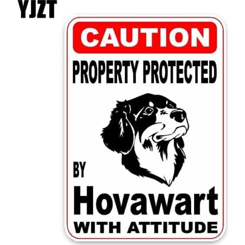 YJZT 10*14.2CM Property Protected By Hovawart Dog Hipster Cartoon Animal PVC Car Sticker C1-4552