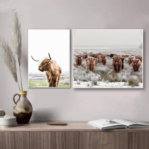 Highland Cow Modern Photography Poster Canvas Prints Farm Animal Bison Black White Pictures Wall Art Painting Living Room Decor