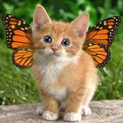 Butterfly And Cat 11CT Embroidery Kit Craft Needlework Set Cotton Thread Canvas Printed Home Decor Christmas Gift New Design