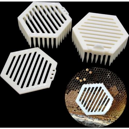 40PCS Rearing beekeeping plastic queen cells needle type hexagonal bees tools of bee honey fertilizer accessories