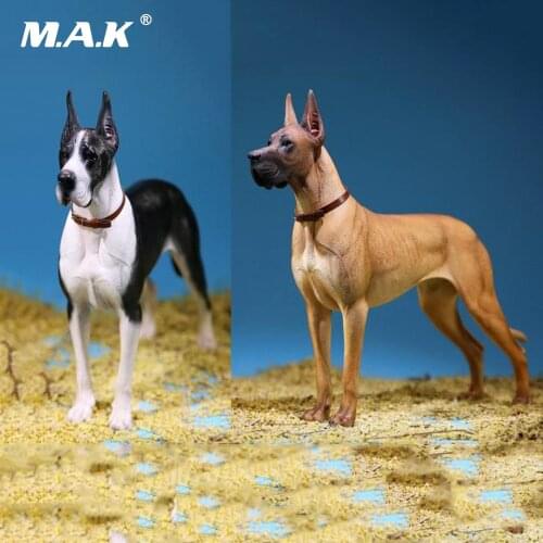1/6 Scale Collectible Pet Dog Model Mr.Z MRZ037 The German Great Dane(all 6 colors) For 12 inches action figure