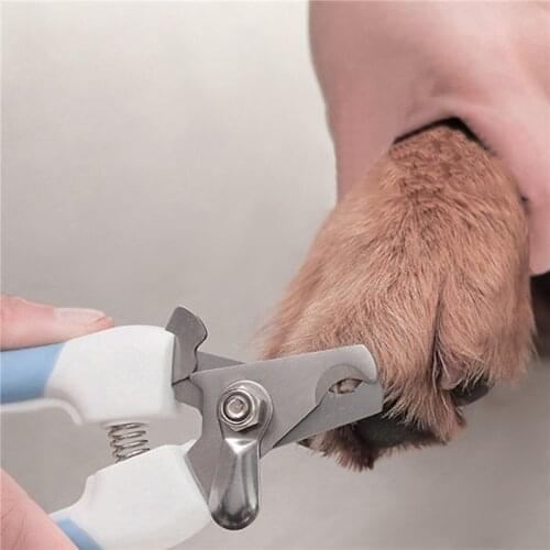 Pet Grooming Scissors Dog Cats Supplies Pet Nail Clipper Pet Accessories Animal Trimmers Nail Claw Cutters Cut The Nails