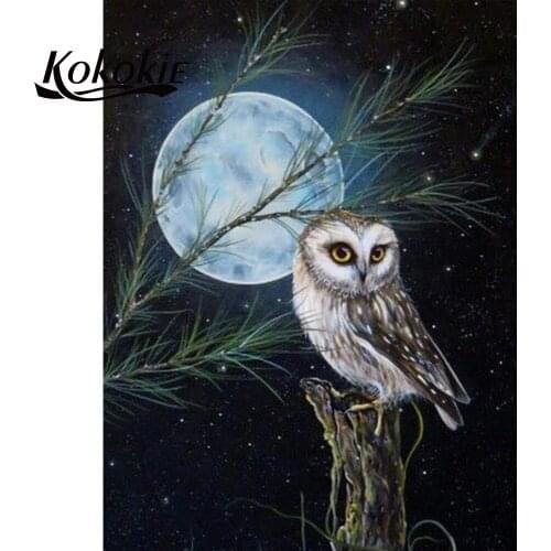 5d diamond painting full square full diamond embroidery sales picture of rhinestones owl diamond mosaic diamond art diy tools