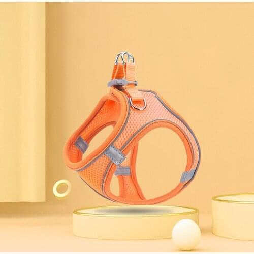 Fashion dog Cat Harness Vest Breathable Mesh Dog Harness Leash Set with Accessories Dog Walking Chain