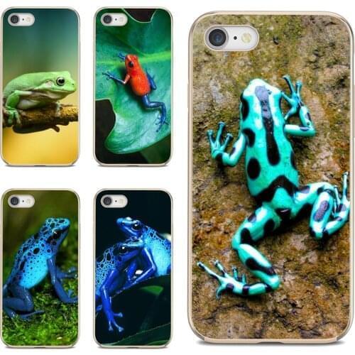 Soft TPU Cover Amphibian-animals-frog-Poison-Dart For Apple iPhone 10 11 12 Pro Mini 4S 5S SE 5C 6 6S 7 8 X XR XS Plus Max 2020