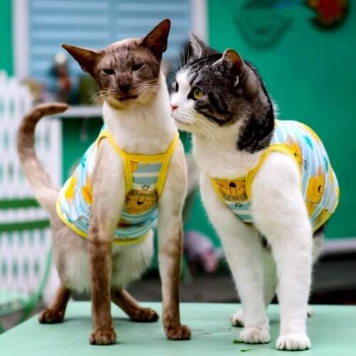 New Classic Sphynx Puppy Pet Cat Clothes For Cats Summer Vest Blue Stripe Print Hairless Cat Clothes