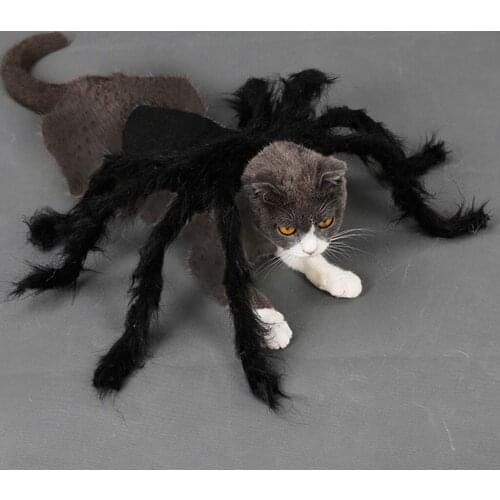 Funny Dog cat Spider Costume, Pet Halloween Christmas Cosplay