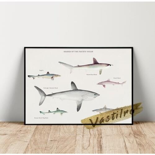 Johannes Tavenraat Exhibition Poster, Tavenraat Sharks Of The Pacific Ocean Prints, Ocean Animal Watercolor Picture, Kids Gift