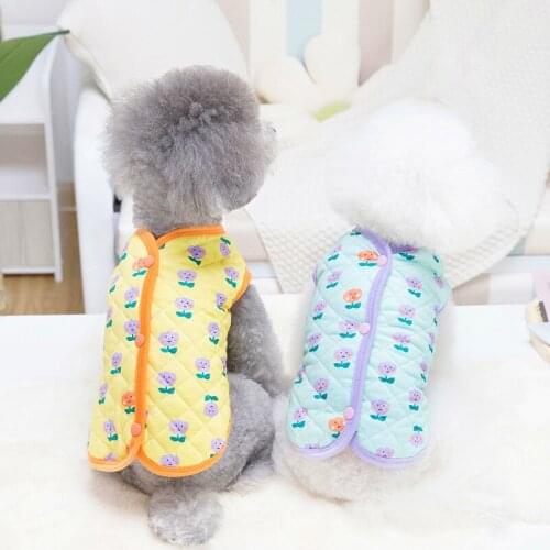 Wholesale New Autumn Winter Dog Clothes For Small Dogs Boy Girls Teddy Print Wadded Jacket Vest Puppy Outfit Pet Clothing