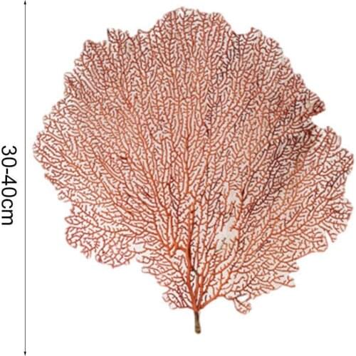 Submarine Coral Tree 30-40cm Sea Iron Tree Red Sea Willow Natural Conch Shell Framed Home Decoration Photo Frame Landscaping