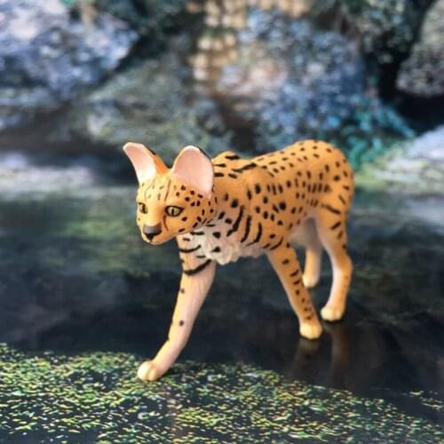 Pvc figure owl 5pcs/set the head can move