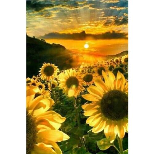 Painting By Number Digital 50x65CM Field Sunflower Flower Wall Art Gift DIY Pictures By Numbers Canvas Kits Home Decoration
