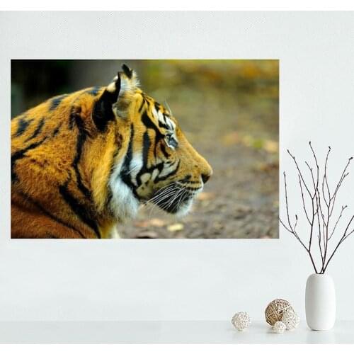 Nice Custom Animal Tiger Canvas Poster Print painting Art Wall Silk Poster cloth print Fabric Poster