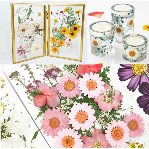 Multi-style Real Dried Flowers DIY Crafts Filling Material Epoxy Resin Candle Aromatherapy Jewellery Making filler Dried Flower