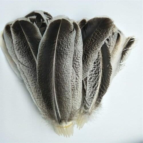 Natural Eagle Feathers for Crafts for Clothes Discount Wholesale Decoration Collection Purification Energy Feathers Plumes