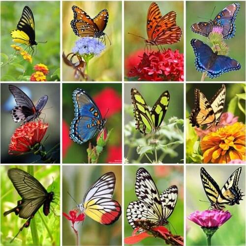 Diy 5d Diamond Painting Flower Butterfly Scenery Cross Stitch Full Square Drill Diamond Embroidery Handwork Wall Art Home Decor