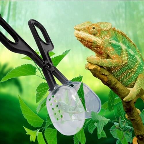 Amphibian Supplies Reptile Clip Transparent Clip Cleaning Tool Pet Reptile Tortoise Lizard Frog Spider Cleaning Clip