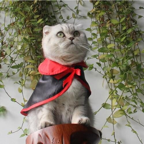 Hengsong Clothes For Cats