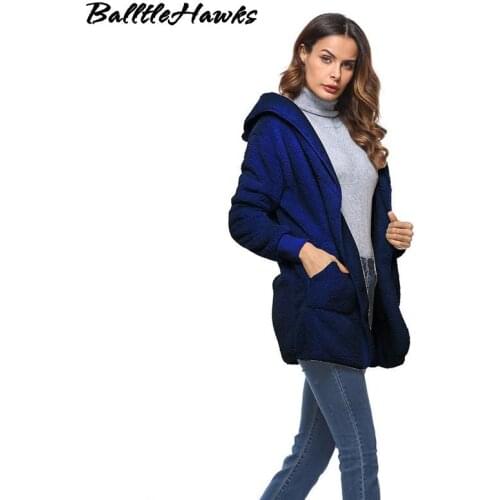 Autumn Long Winter Coat Woman Faux Fur Coat Women Warm Ladies Fur Teddy Jacket Female Plush Teddy Coat Plus Size Outwear
