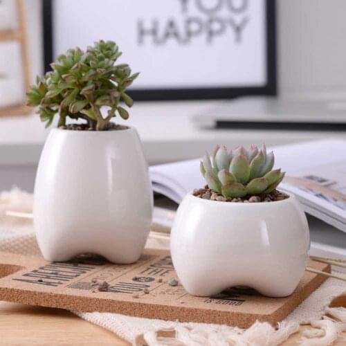 Cute tooth pot vase creative ceramic cartoon tooth flower pot succulent flower pot home decoration crafts dental clinic gift toy