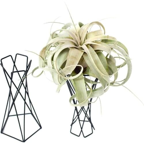 1PC Nordic Style Air Plant Holder Metal Flower Pots Stand Geometric Iron Tillandsia Holder Table Home Garden Ornaments