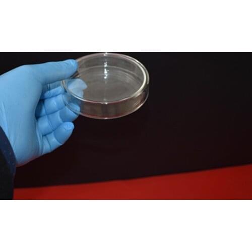 5pcs /lot High Quality Glass Petri Dish for Lab Plate Bacterial Yeast Diameter 60MM