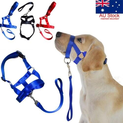 Dog Pet Head Collar Gentle Halter Leash Leader No Pull Straps For Training Dogs