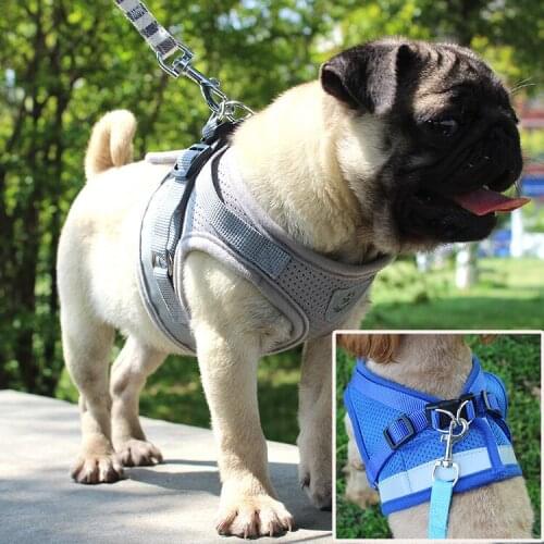 2020 Summer New Dog Harness Leads Sets Soft Breathable Cute Reflective Nylon For Dogs Cat Outdoor Interact Walking Pet Products
