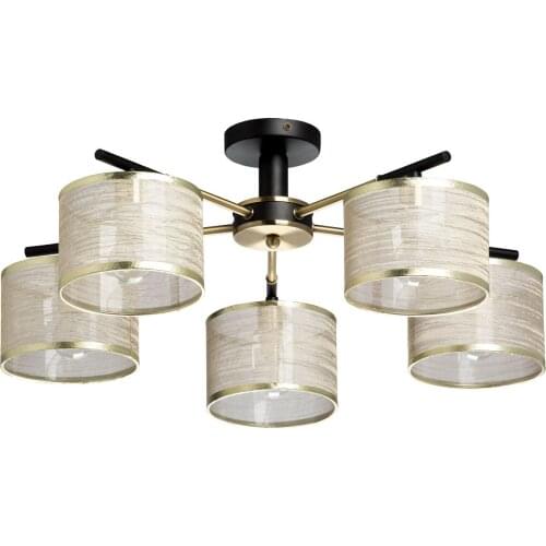 Decity Ceiling Lighting