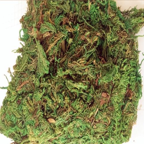 60g/bag 100g/bag Building model materials,green moss, turf, microscape, handmade DIY materials, home decor
