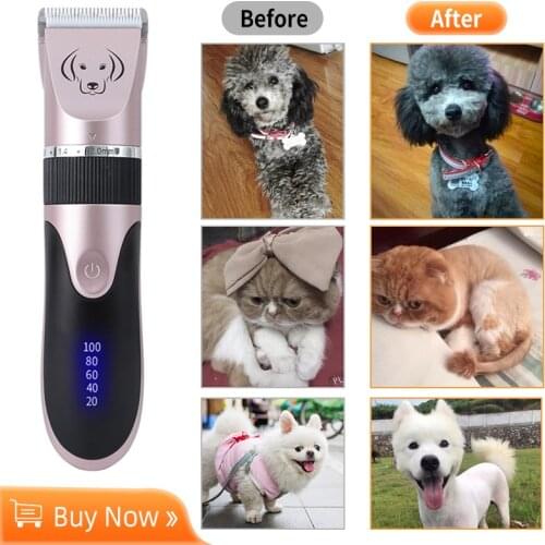 Pet Cat Hair Clippers Professional Grooming USB Rechargeable Low-Noise Electric haircut Trimmer Shaver Set for Animal kit