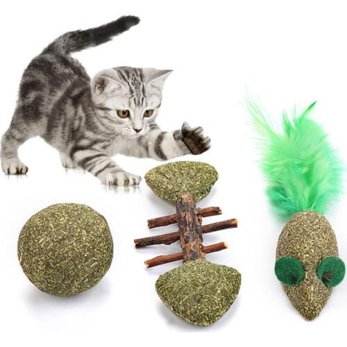 Legendog 3pcs/set Cat Play Toys Cute Bite-Resistant Catnip Cat Interactive Toy Cat Bite Toy Pet Supplies Cat Favors