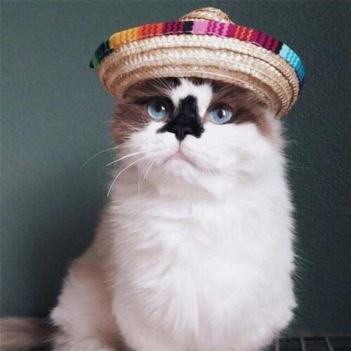 2020 New Hot Sale Popular Straw Sombrero Mexican Hat Pet Adjustable Buckle Multicolor Pet Straw Dog Cat Hat High Quality Supply