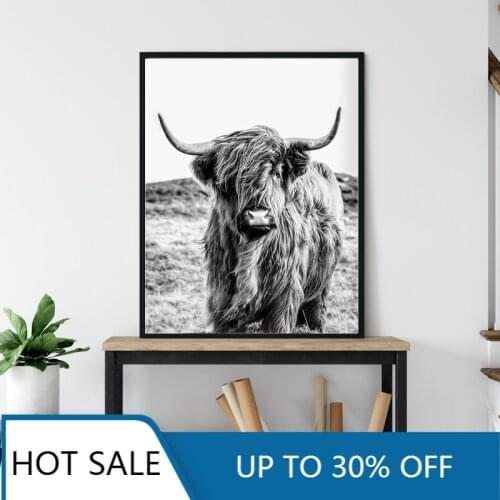 Farm Animal Highland Cow Photography Wall Art Canvas Painting Posters Prints Black White Farmhouse Wall Decor Home Decoration