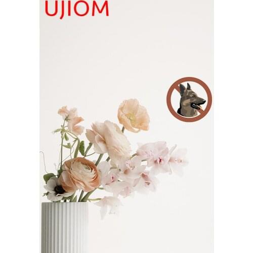 UJIOM No Dog Sign Wall Stickers Home Decoration Bedroom Living Room Decorations Customizable Personalise Decorative Decals