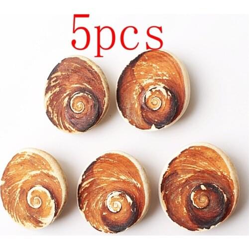 5pcs Natural Sun Shell Stone Fossil Pendant White Shell Screw Healing Gift