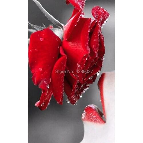 5D DIY Full Square&Round Drill Diamond Painting Embroidery set Red Lips Rose Mosaic Rhinestone Cross Stitch Home Decor Sticker