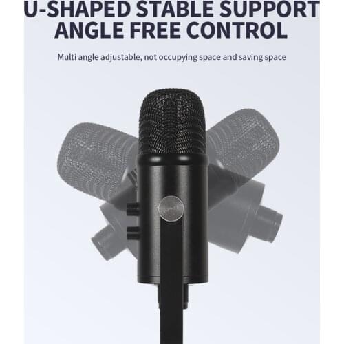BM-86 USB Condenser Broadcast/Podcast Microphone w/ Filter/Desk Stand