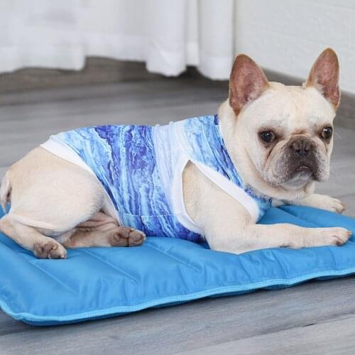 Dog Cooling Vest Pet Cooling Vest Lightweight Cat Cooling Coat Dog Jacket Clothing For Puppy Dog Cats Kittens Blue