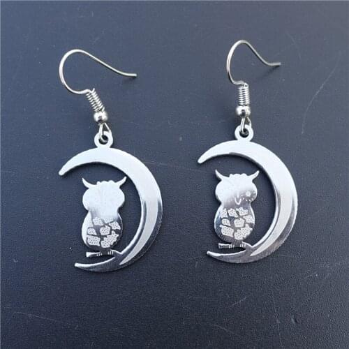 Stainless Steel Earrings Moon Night Owl Earring Women Jewelry