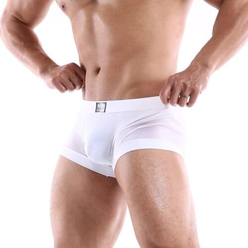 Men Boxer Underwear Mens Breathable Quick Dry Mesh Nylon Shorts Man Underwear Cueca Gay Panties Boxershorts Bikinis