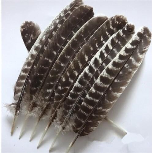 Wholesale Natural Eagle feathers 10-16 Inch(20-40CM)Eagle bird Turkey pheasant feather For Crafts DIY Wedding decoration Plumes