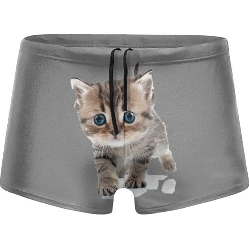 Men Cats Lover Gift swimming trunks Manchuken Cat Swimsuit Boy for the sea Pool