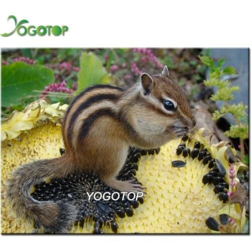 5d Diamond embroidery cute chipmunks 5d diy diamond painting full diamond mosaic puzzle picture of rhinestone hobby Art YY2499