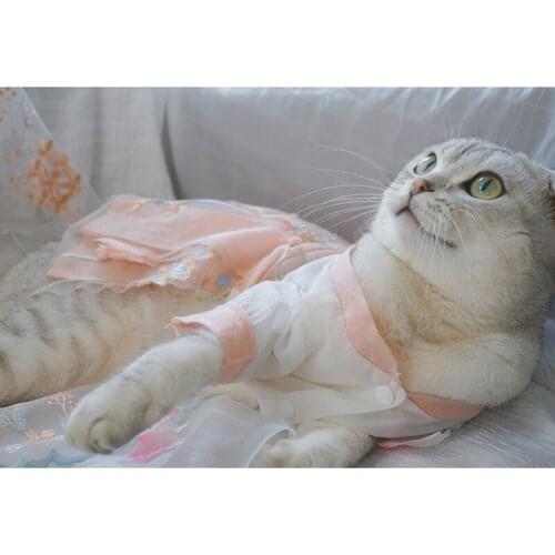 Classical Elegant Comfortable Hanfu Spring Summer Dog and Cat Clothes Gauze in China Ancient Costume Pet Puppy Accessories