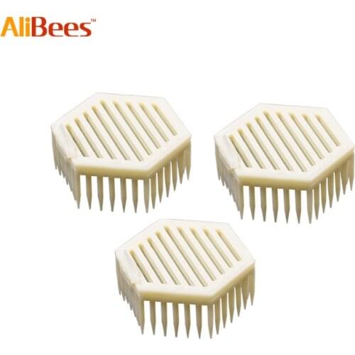 2PCS Beekeeping Bee Cages Needle New Type Hexagon Queen Cage Rearing Bees Tools For Beekeeper Supplies