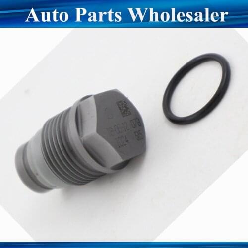 New 1110010024 1110010011 Fuel Rail Pressure Relief Limiter Valve